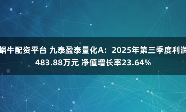蜗牛配资平台 九泰盈泰量化A：2025年第三季度利润483.88万元 净值增长率23.64%
