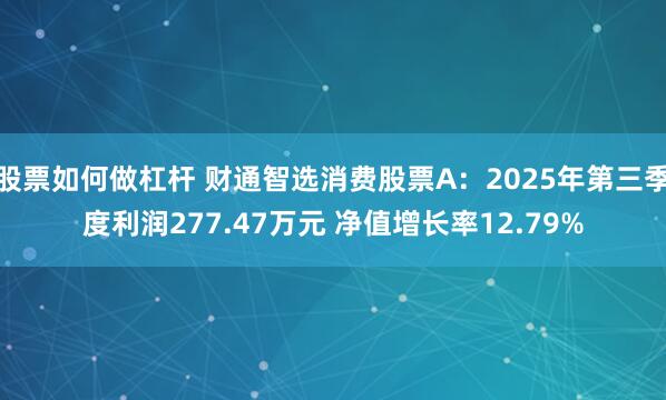 股票如何做杠杆 财通智选消费股票A：2025年第三季度利润277.47万元 净值增长率12.79%
