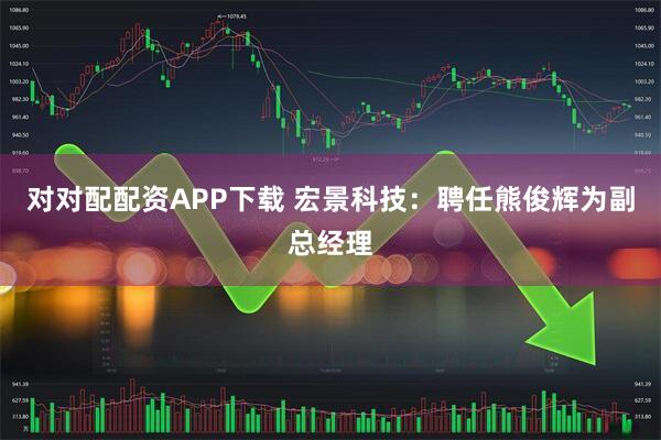 对对配配资APP下载 宏景科技：聘任熊俊辉为副总经理